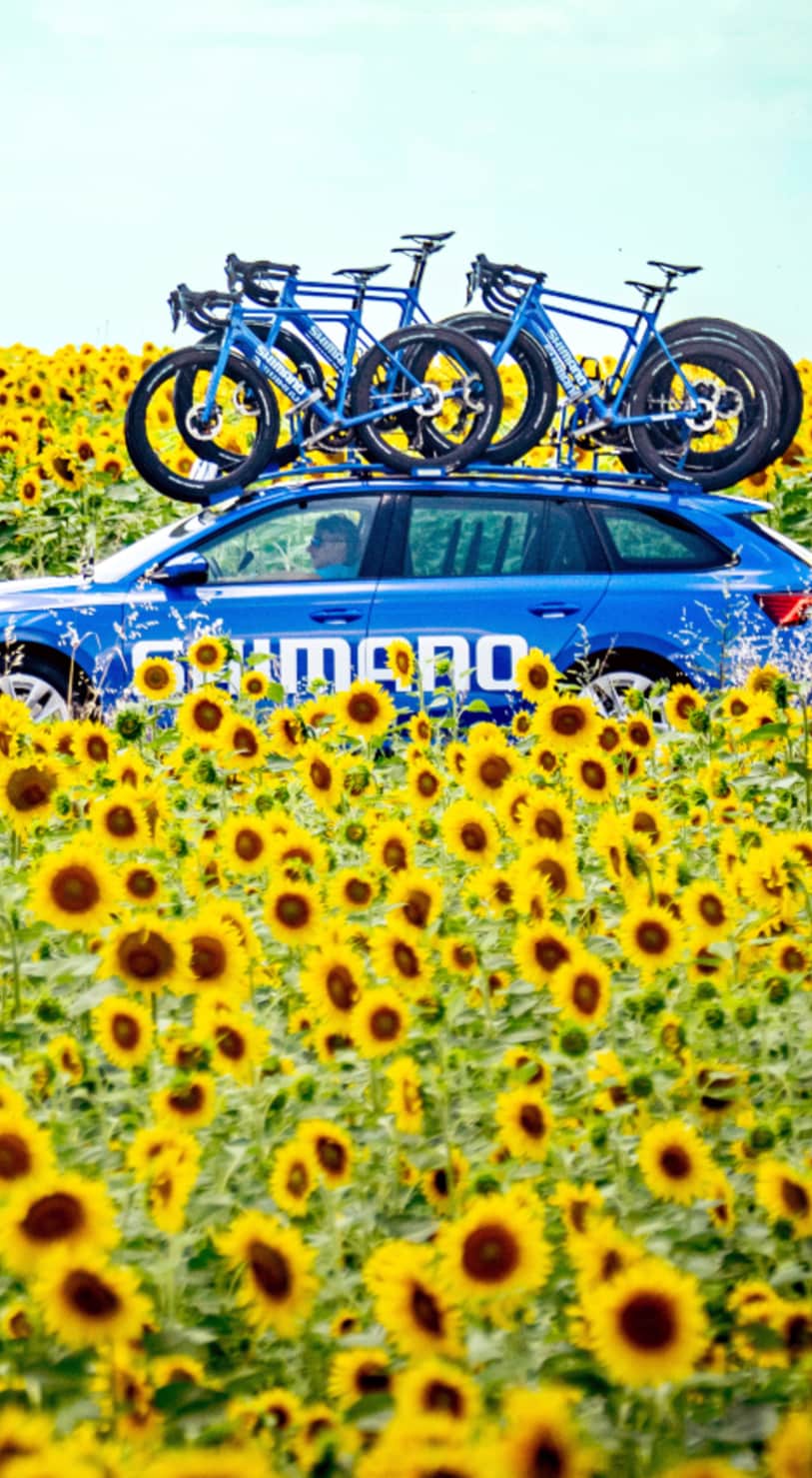 VIVE LE SHIMANO NEUTRAL SERVICE! 