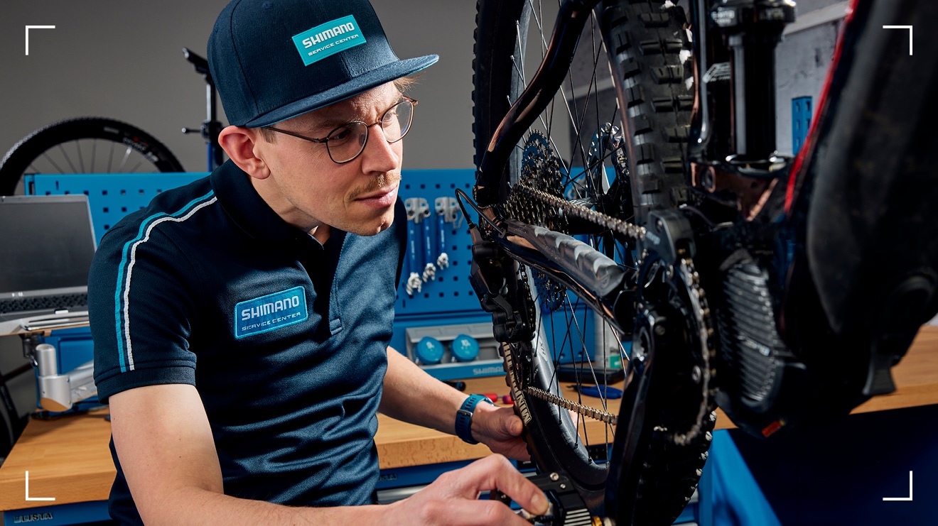 CUIDAR DA TUA BICICLETA