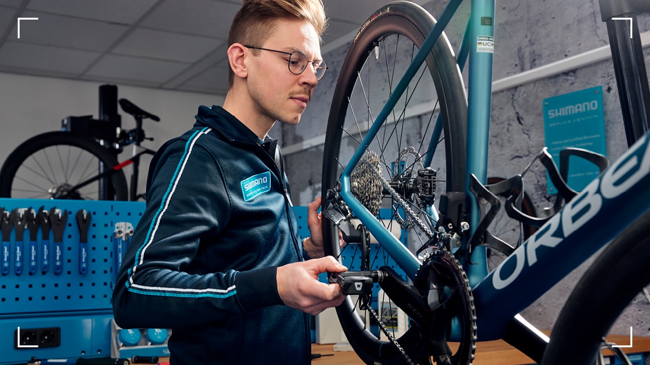 CUIDAR DA TUA BICICLETA