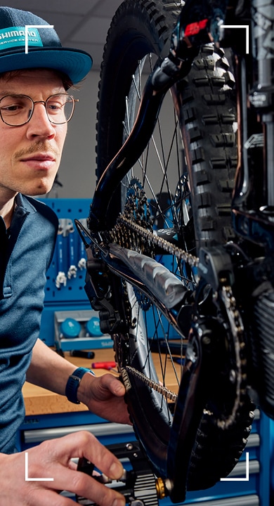 CUIDAR DA TUA BICICLETA