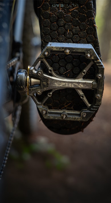 PEDAL TECHNOLOGY
