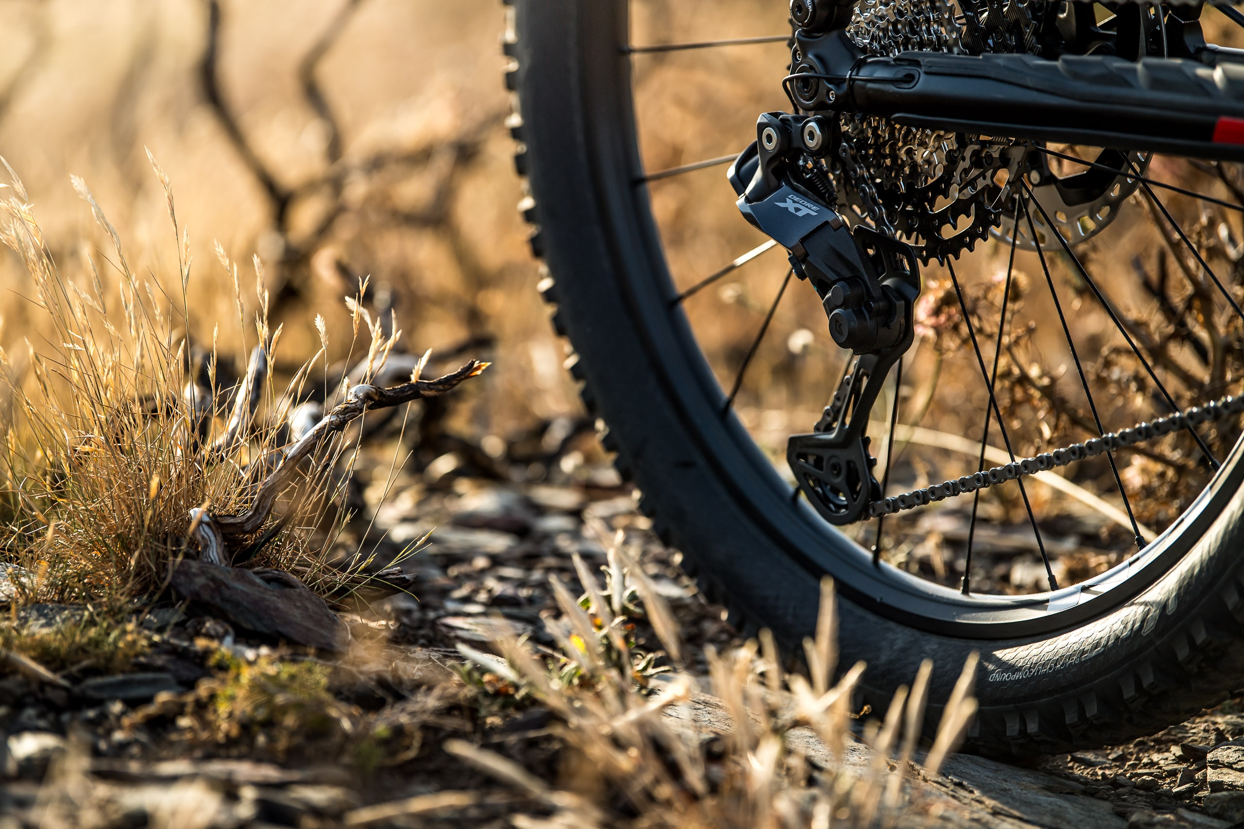 Di2 POUR VÉLO ÉLECTRIQUE