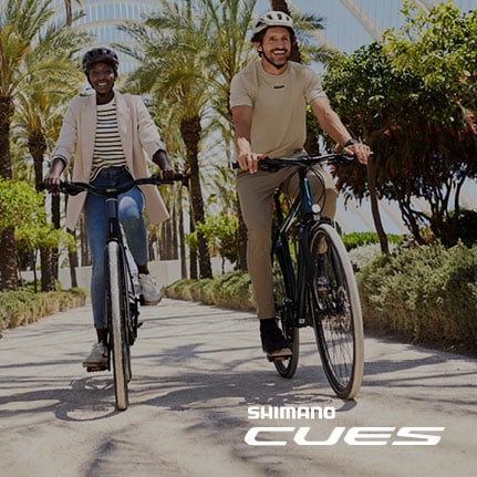 Three people riding Shimano Cues bicycles on a sunny path lined with palm trees