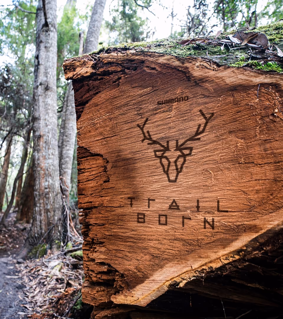 Trail Born-logoen svidd inn i en tømmerstokk ved siden av stien