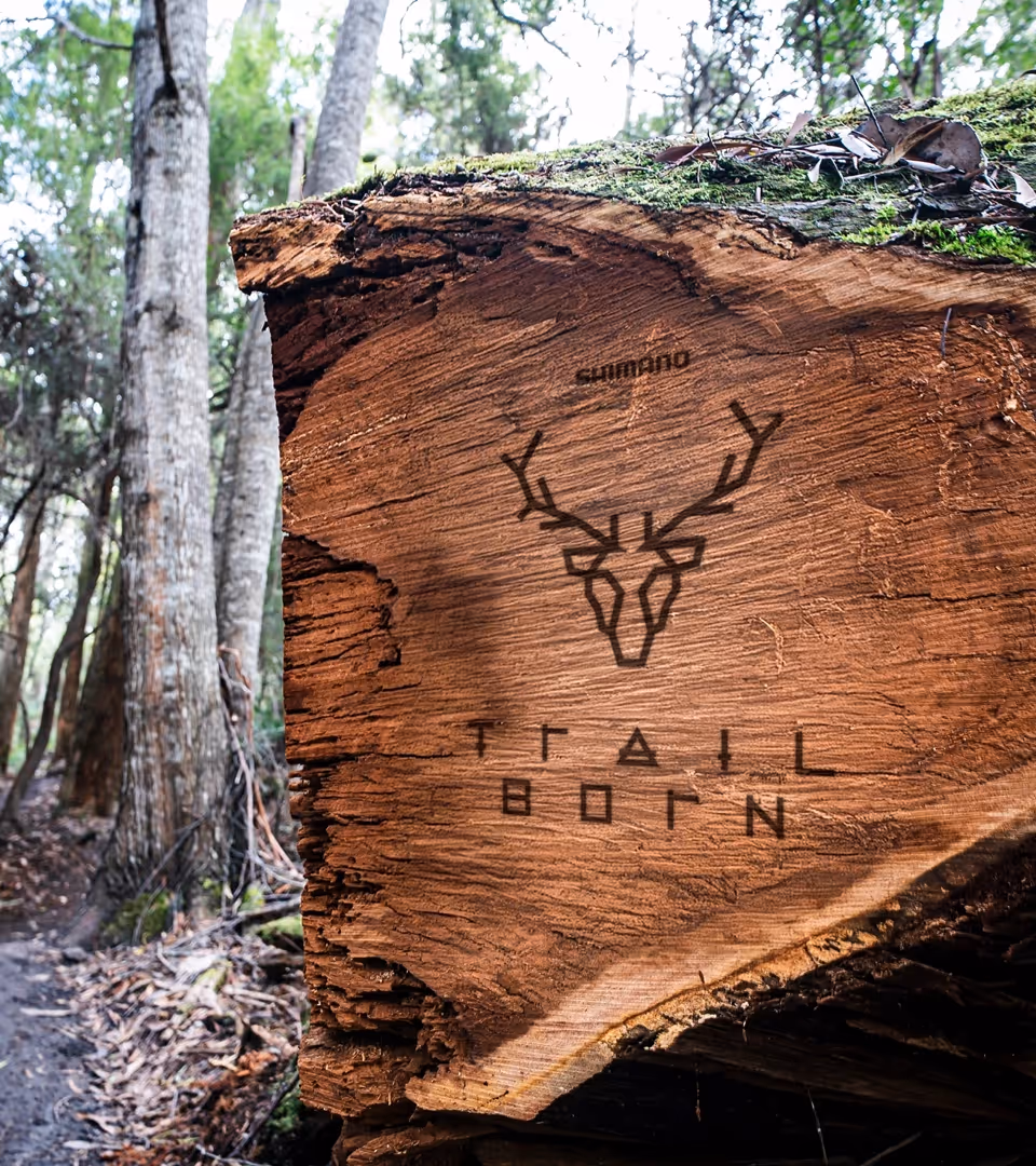 Logo Trail Born gravé sur une bûche au bord du sentier