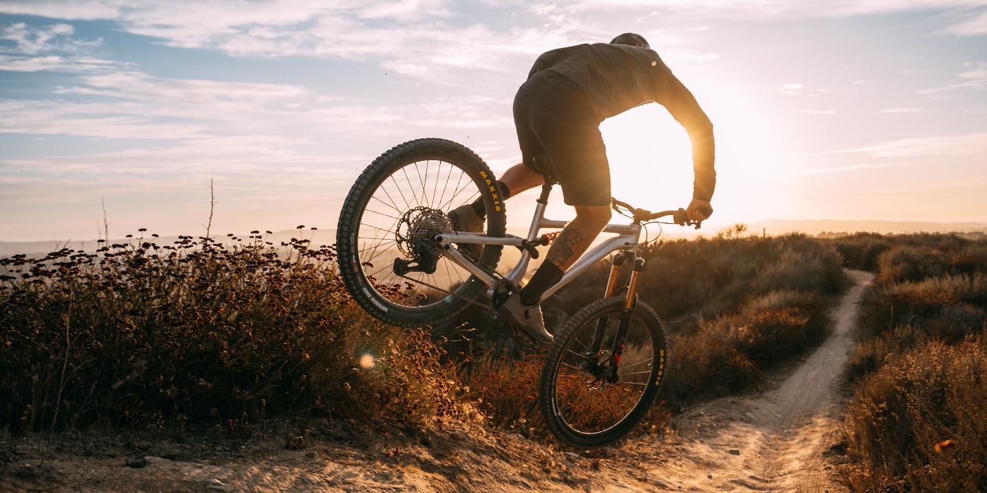 Person mountain biking on a trail through a dense, sunlit forest