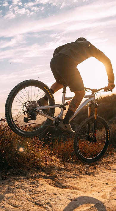 Person mountain biking on a trail through a dense, sunlit forest