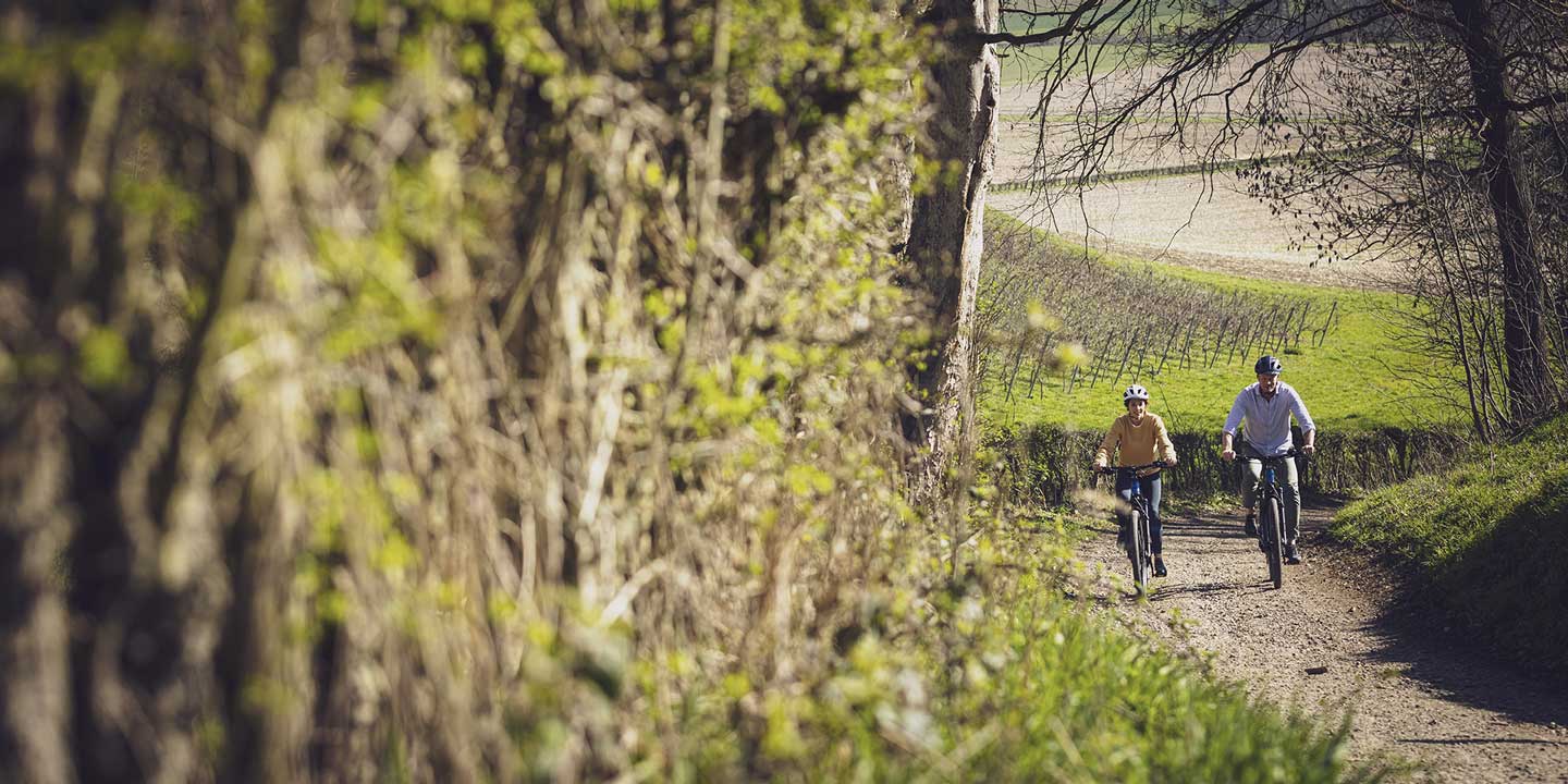 Two cyclists riding on a dirt path through a lush countryside landscape
