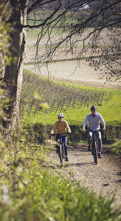 Two cyclists riding on a dirt path through a lush countryside landscape