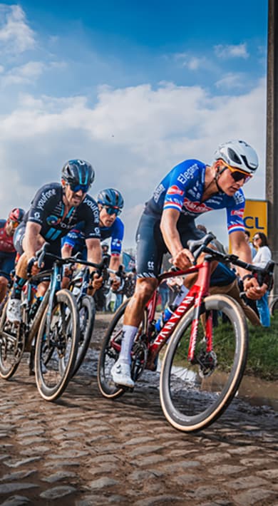 Ciclistas y equipos CARRETERA / GRAVEL / TRIATLÓN