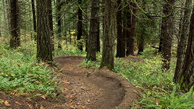 Shimano Trail Born Fund trail 