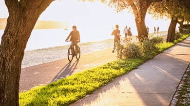 Radfahrer und Jogger auf einem sonnigen Weg am See, gesäumt von Bäumen.