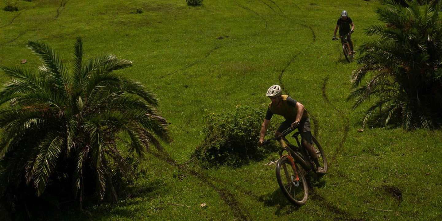 Two mountain bikers riding on a grassy trail surrounded by palm trees