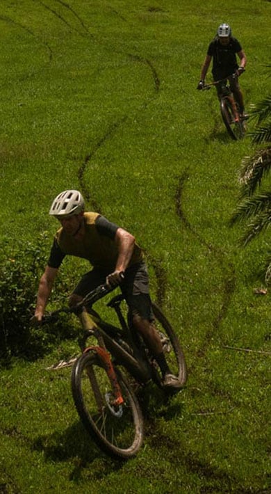 Two mountain bikers riding on a grassy trail surrounded by palm trees