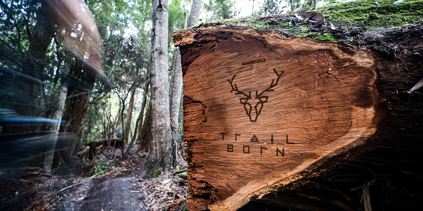 Shimano Trail Born Global projects 