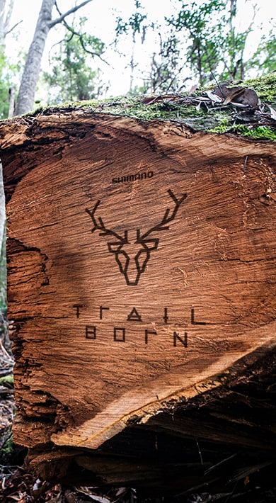 Costruire il Futuro della MTB