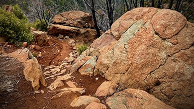 Shimano Trail Born Trail Mt. Hough Trail Network