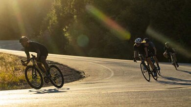 Cyclistes roulant sur une route sinueuse baignée de soleil.