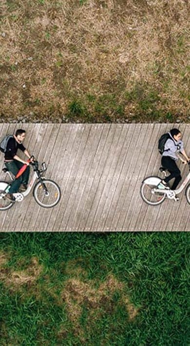 Deux personnes faisant du vélo sur un sentier en bois à travers l'herbe.