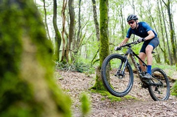 Mountain biker riding through a forest trail