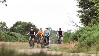 Group of four people biking on a trail surrounded by greenery