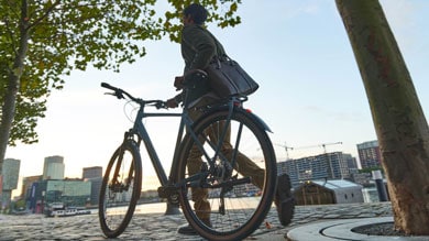 Person walking with a bicycle under trees near a waterfront