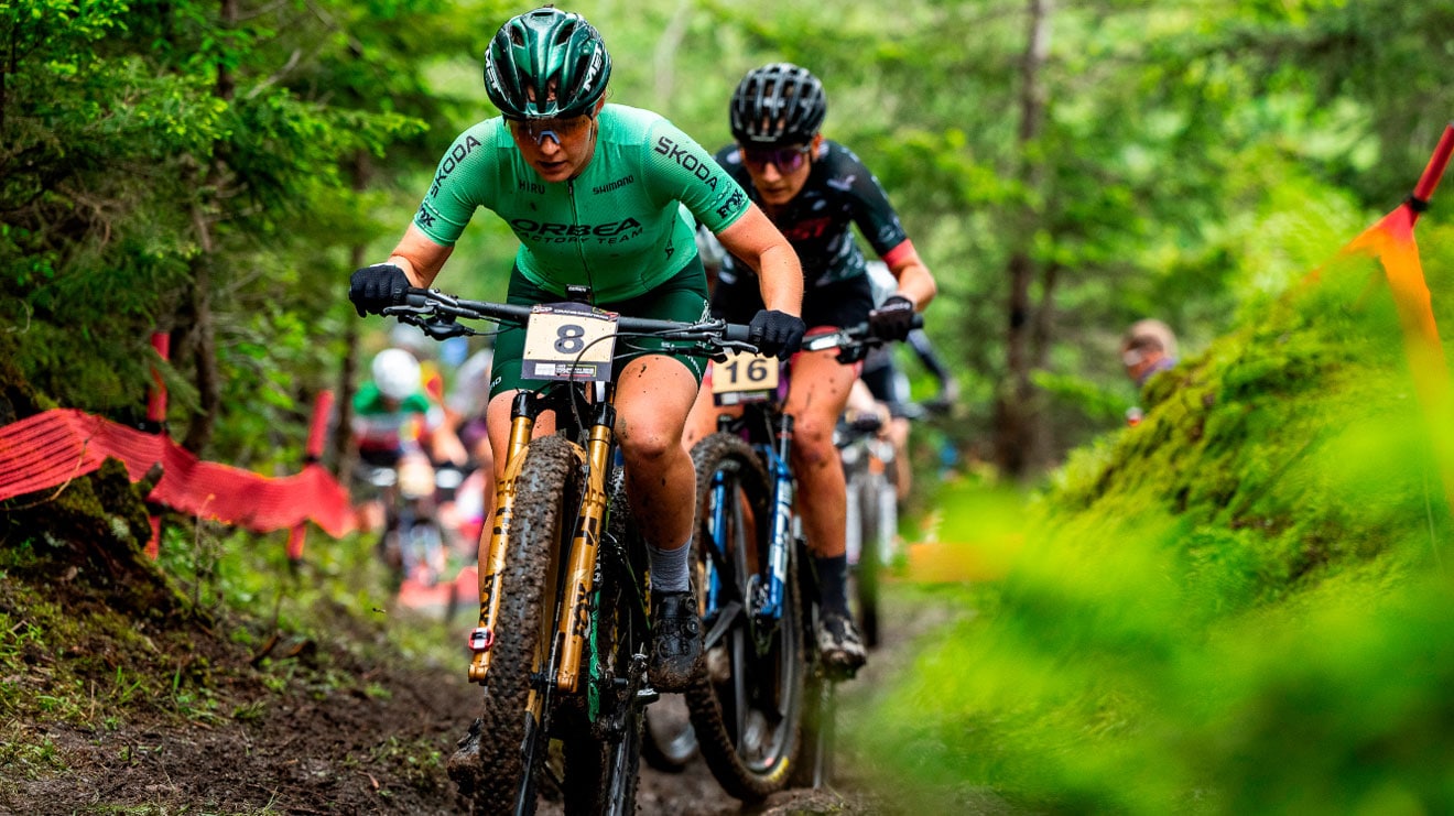 Mountain bikers racing through a forest trail