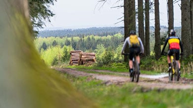 Twee fietsers op een bospad met boomstammen en bomen.