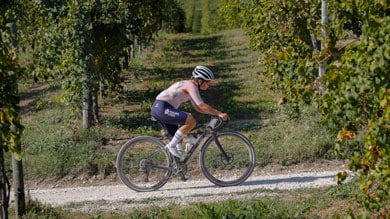Ciclista pedalando em uma trilha de gravel através de um vinhedo