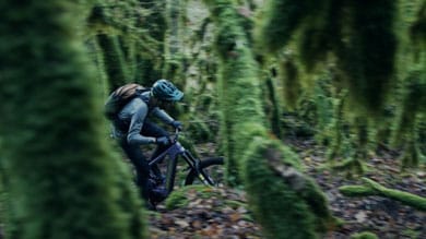 Cyclist riding through a dense, moss-covered forest