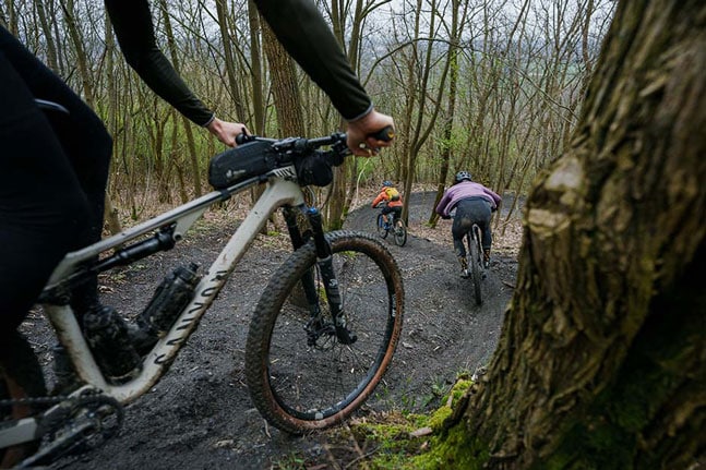 Fietsers rijden met mountainbikes over een bospad.