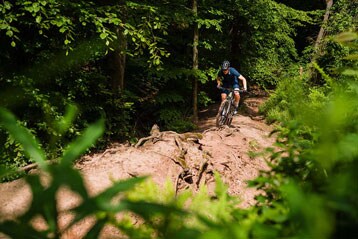 Mountainbiker navigeert een bospad omringd door groen.