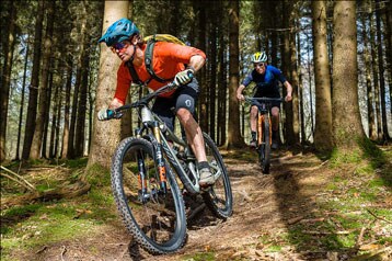 Twee mountainbikers rijden op een bospad.