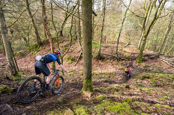 Twee fietsers rijden over een bebost pad in een bos.