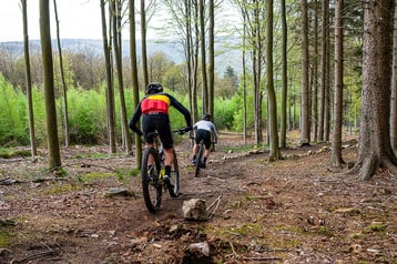 Twee fietsers rijden over een bospad.