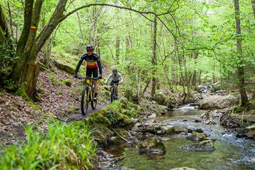 Fietsers rijden met mountainbikes langs een bosbeek.