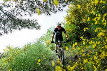 Fietser rijdt op een mountainbike op een pad omringd door groen en gele bloemen.