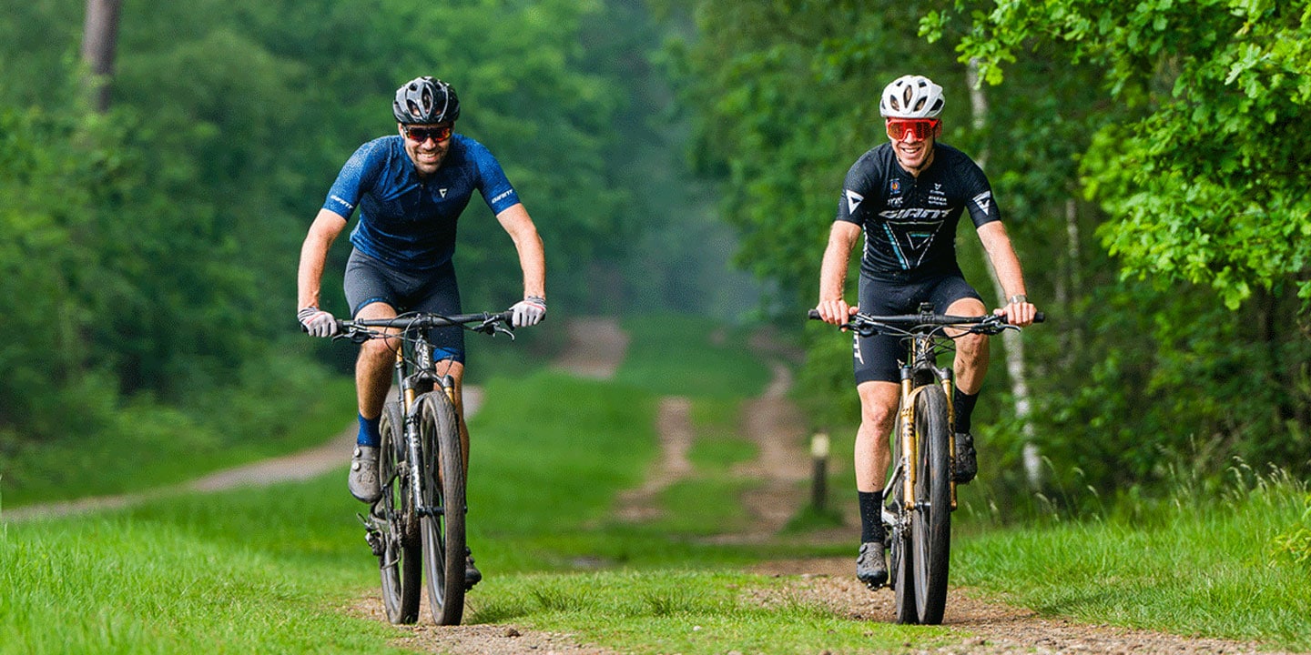 Van de weg naar het bos