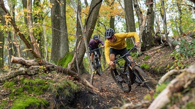 Twee mountainbikers rijden over een bospad in de herfst.
