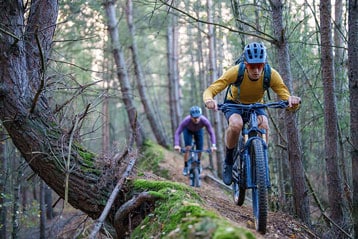 Twee fietsers rijden op mountainbikes over een bospad.