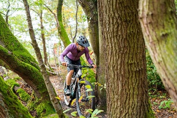 Mountainbiker rijdt over een bospad.