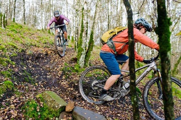 Twee fietsers rijden op mountainbikes over een bospad.