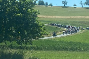 Eine große Gruppe von Radfahrern fährt auf einer kurvigen Landstraße durch grüne Felder. Ein Baum im Vordergrund rahmt die Szene, während Begleitfahrzeuge dem Peloton folgen.