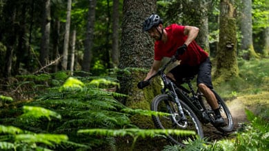 Mountain biker in red shirt riding through a dense forest trail