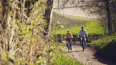 Two people riding bicycles on a country trail surrounded by greenery and fields