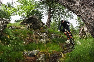 Mountain biker navigating a rocky trail through forested terrain