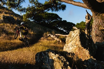 Mountain biker riding uphill on a rugged trail surrounded by trees and rocks