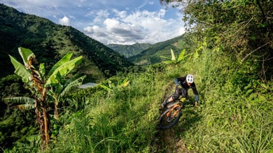 Mountain biker riding downhill on a lush green trail with scenic mountain views and blue sky in the background