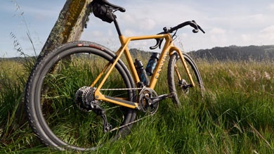 Yellow Canyon bike leaning against a tree in a grassy field