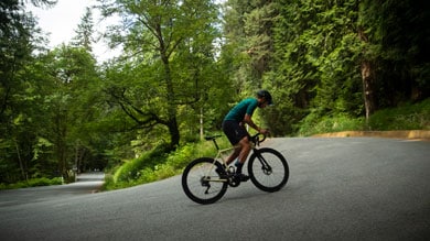 Cyclist riding on a winding road through a lush forest